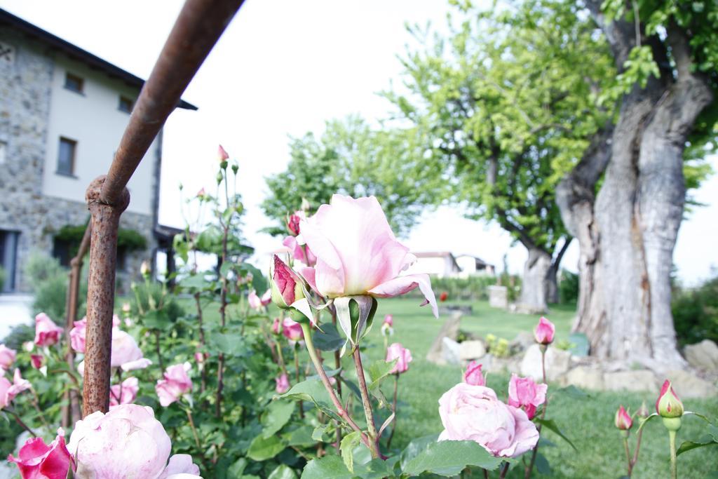Massoni Bed And Breakfast Peschiera del Garda Exterior photo